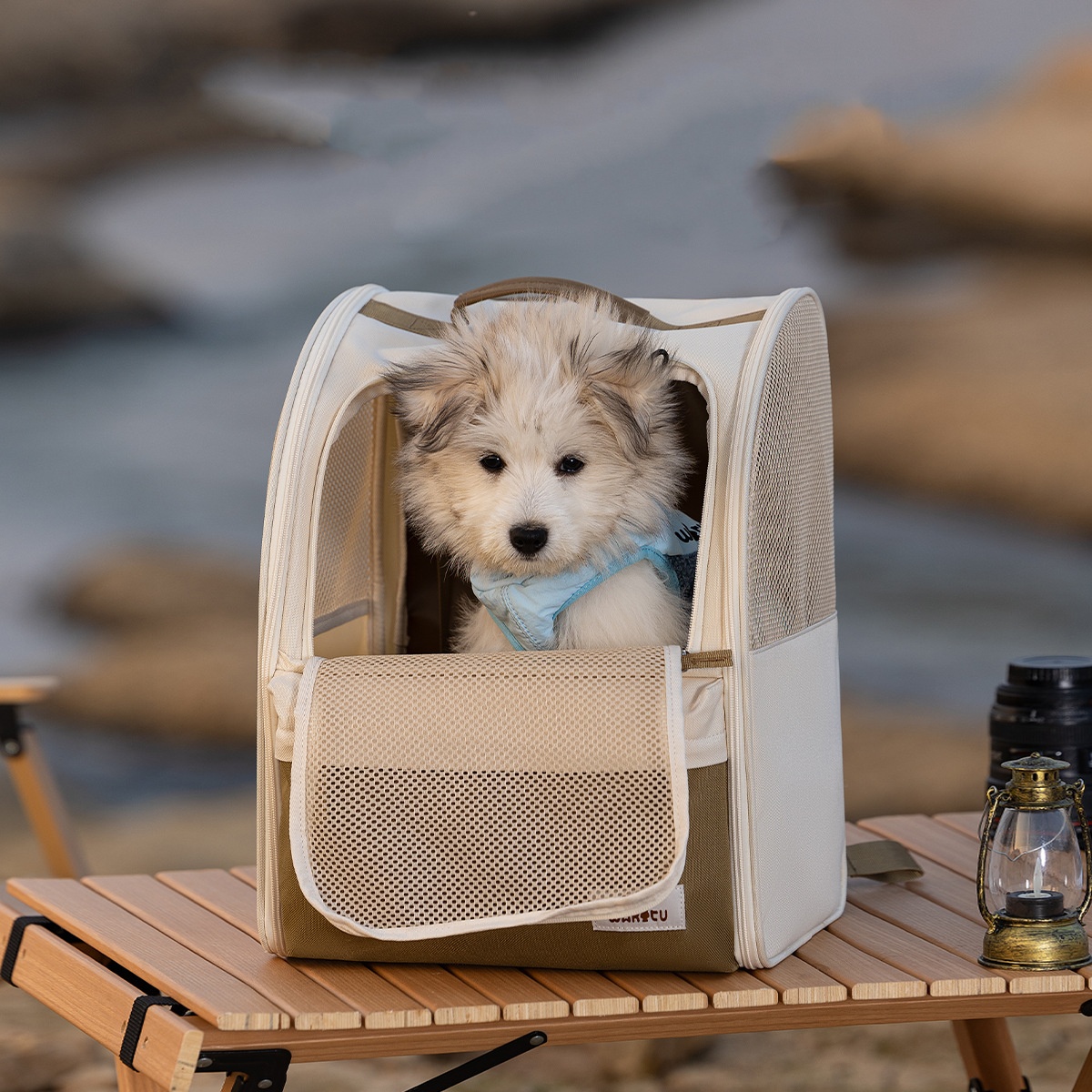 Pet Carrier Backpack Breathabl - Foldable Backpack Small review and price