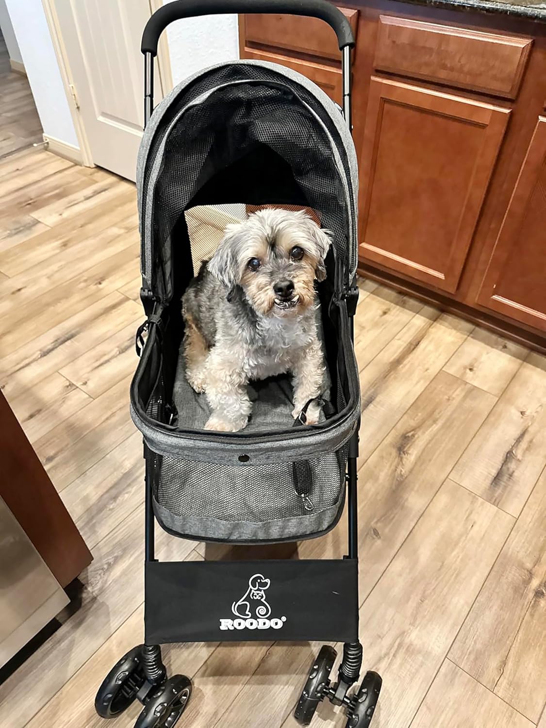 4 Wheel Dog Cat Pet Stroller,  - Foldable Backpack Small review and price