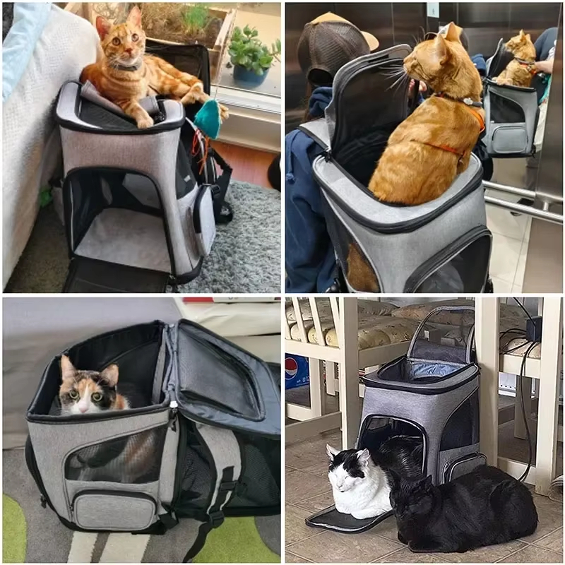 Cat Bag Outdoor Portable Cat B - Foldable Backpack Small review and price