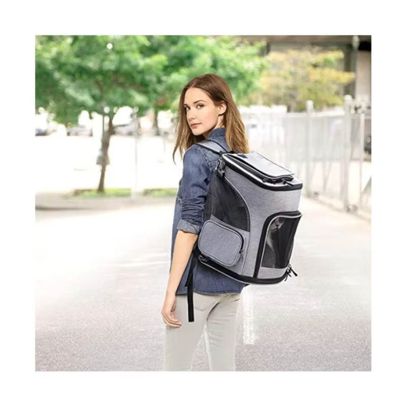 Cat Bag Outdoor Portable Cat B - Foldable Backpack Small review and price