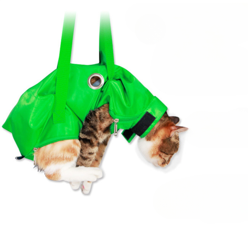 Portable Cat Backpack Pet Summ - Foldable Backpack Small review and price